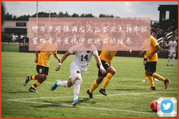 赞布罗塔强调尤文应坚定支持弗拉霍维奇并重视伊尔迪兹的培养