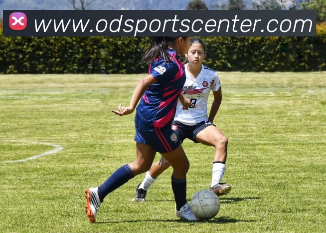 OD体育APP 高清赛事图